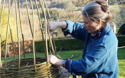 Willow Weaving Workshop