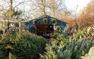 Rococo Garden Christmas Shopping Weekend