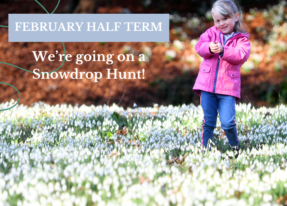 February Half Term – Family Fun